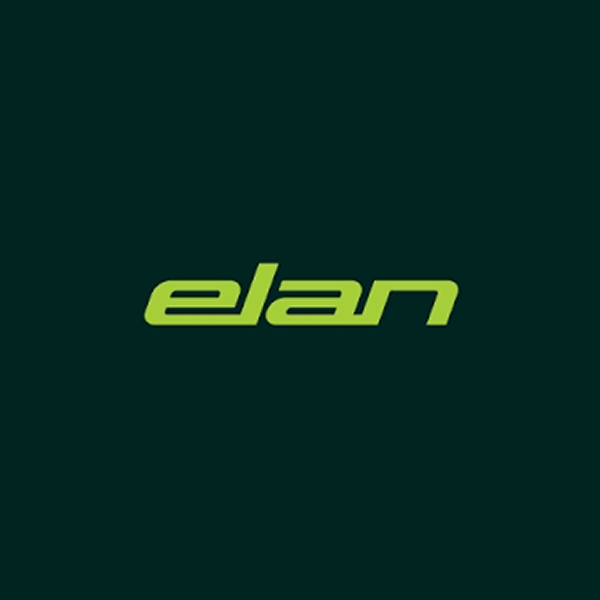 Elan Skis
