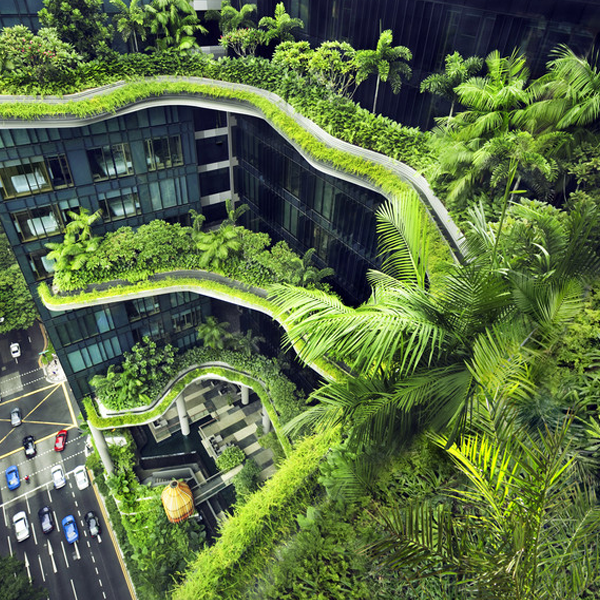 Environmental design logo