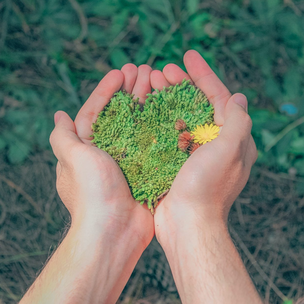 Environmental health logo