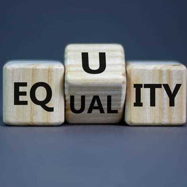 Equity (finance) logo