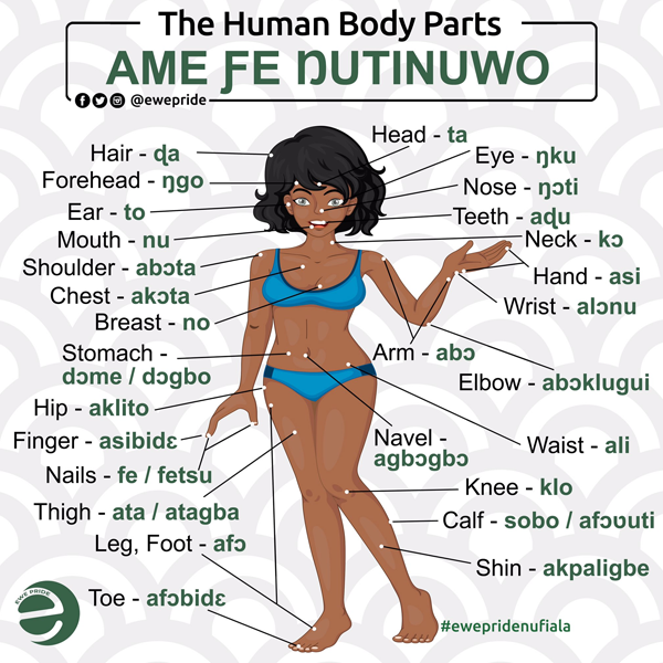 Ewe language
