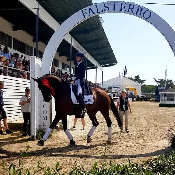 Falsterbo Horse Show