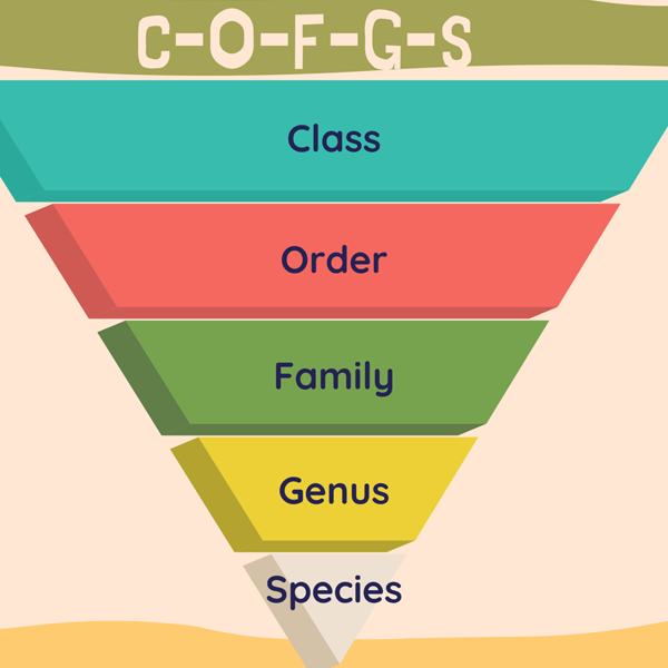 Family (biology)