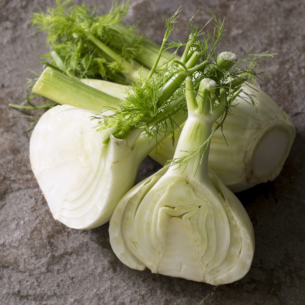 Fennel