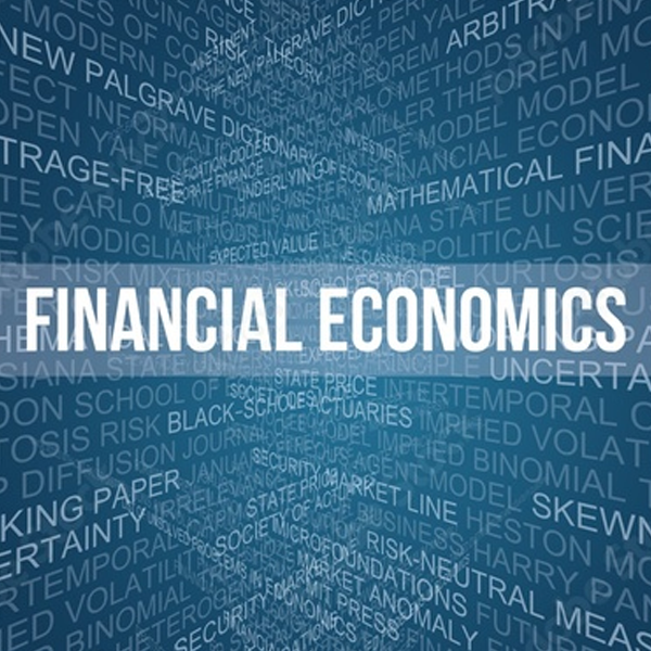 Financial economics logo