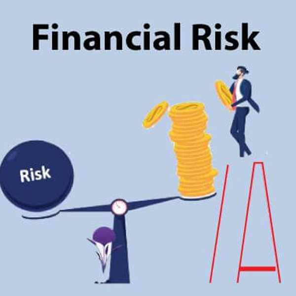 Financial risk management logo
