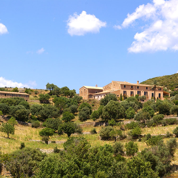 Finca