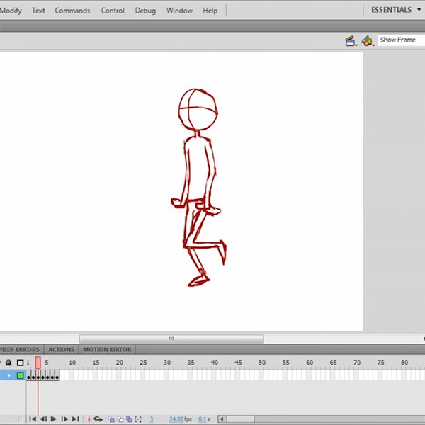 Flash animation logo