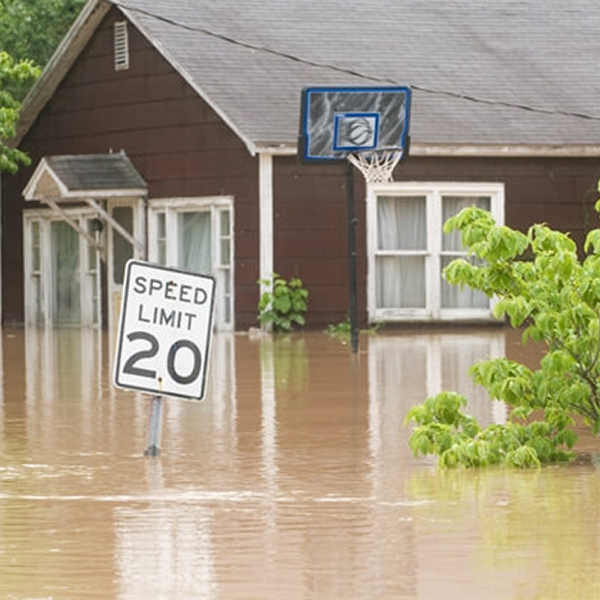 Flood logo