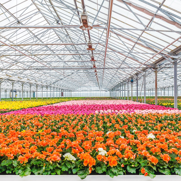 Floral industry logo