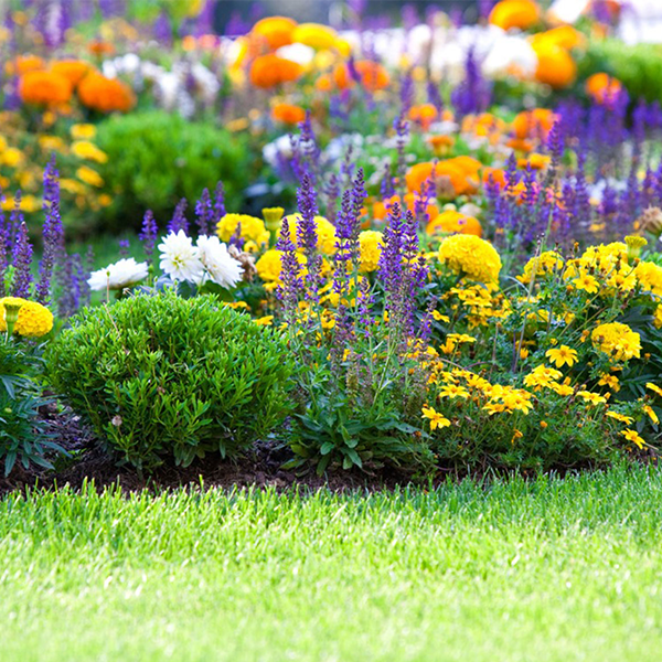 Flower garden logo