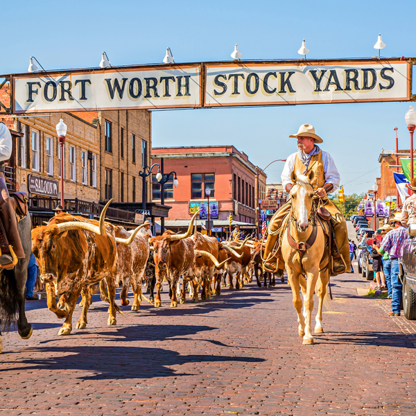Fort Worth, Texas logo