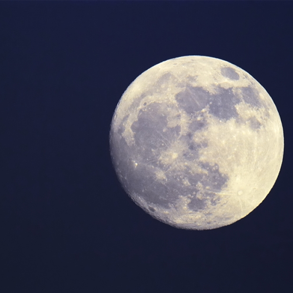Full moon logo