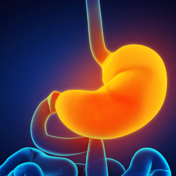Gastric acid logo