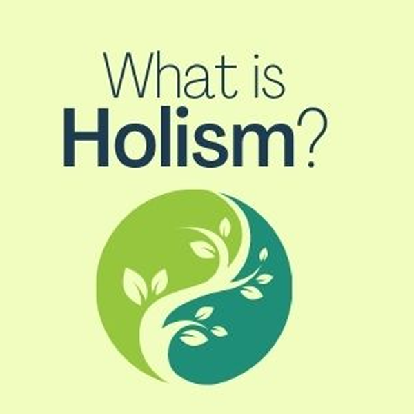 Holism logo