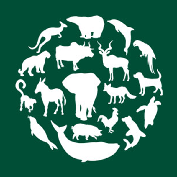 Humane Society International