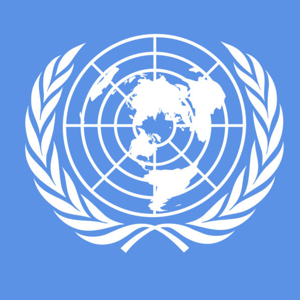 International law logo