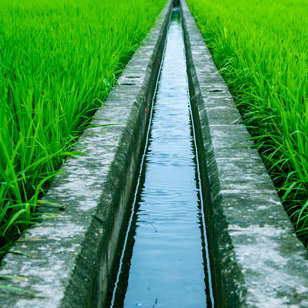 Irrigation logo