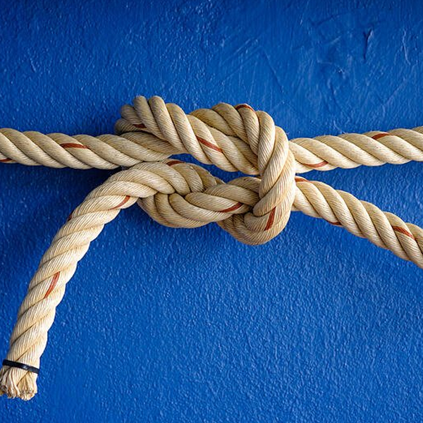 Knot logo