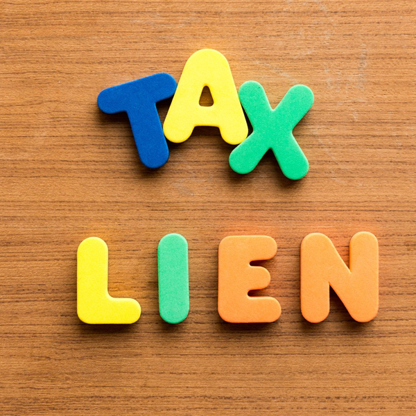 Lien logo