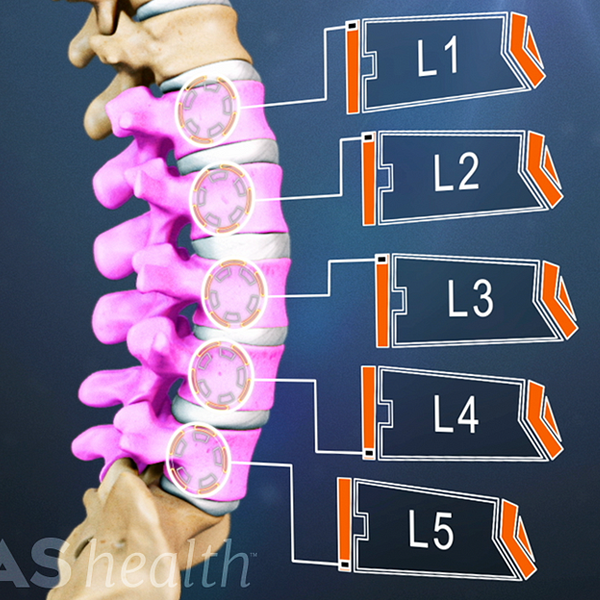 Lumbar logo