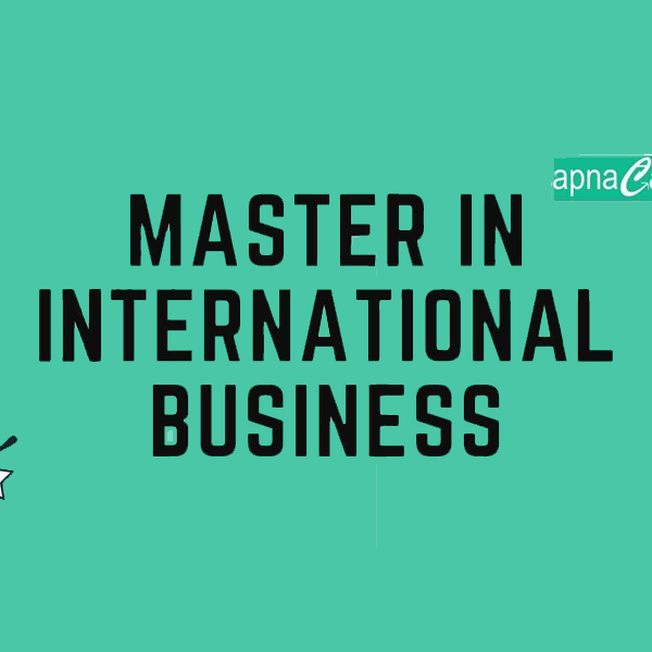 Master of International Business logo