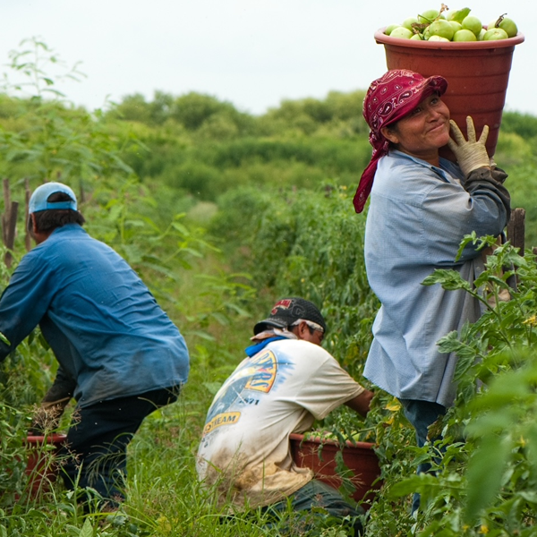 Migrant worker logo