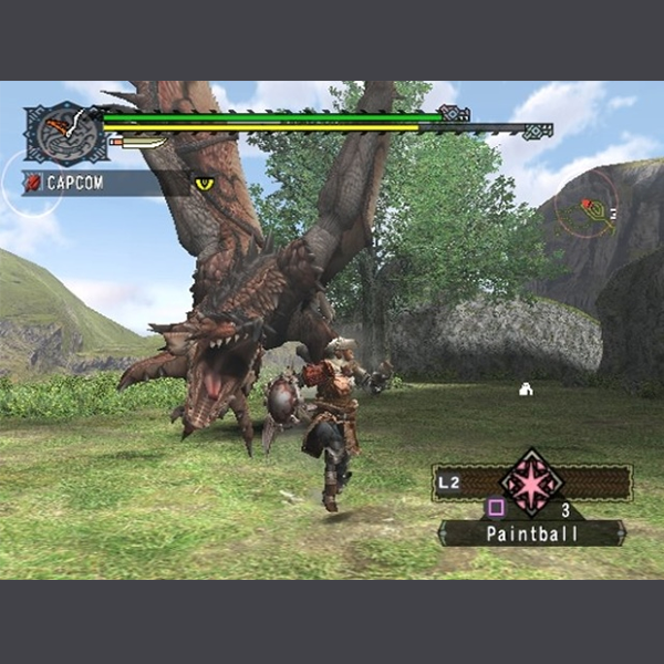 Monster Hunter (video game)