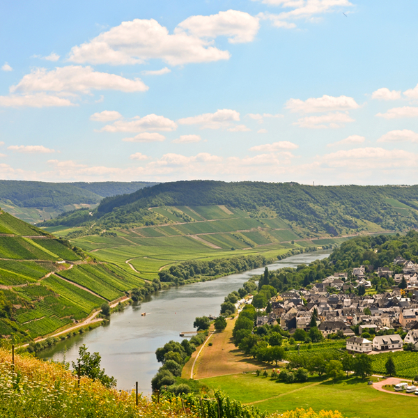 Nahe (river)