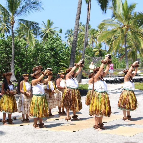 Native hawaiian culture logo