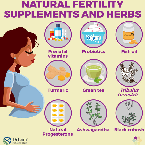Natural fertility logo