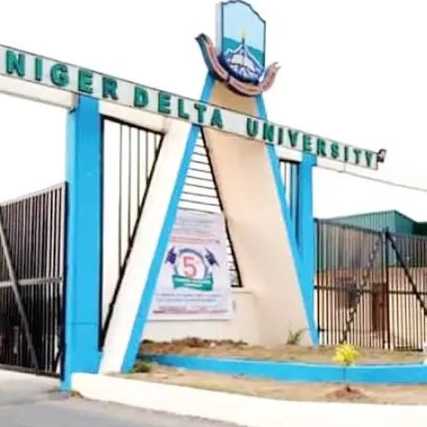 Niger Delta University