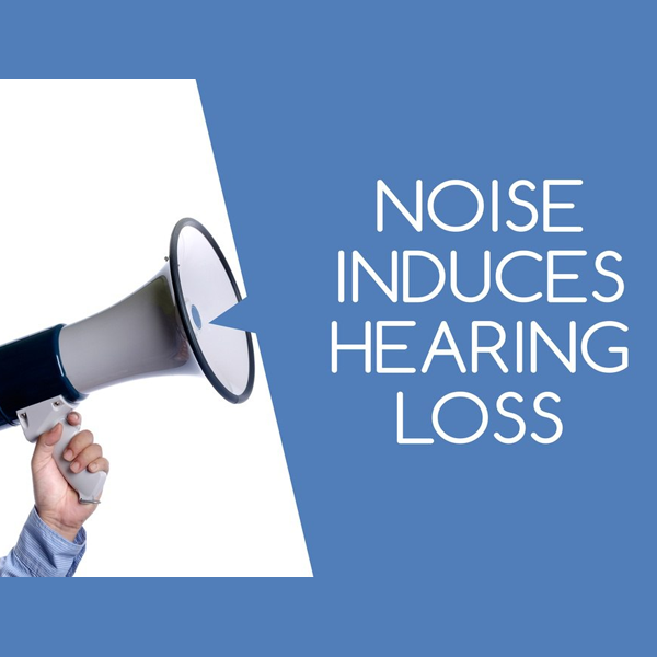 Noise-induced hearing loss logo