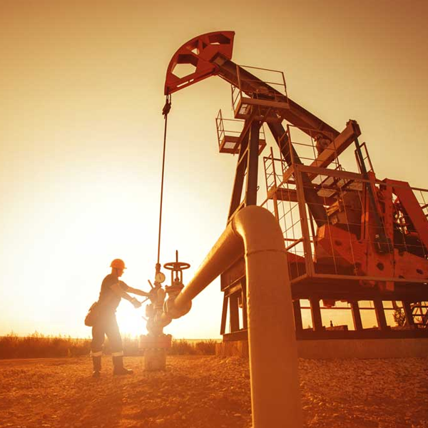 Oil and gas law in the United States logo