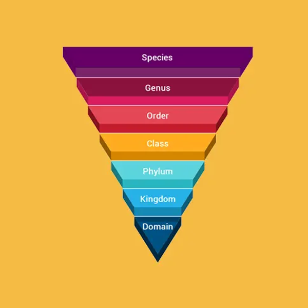 Order (biology)