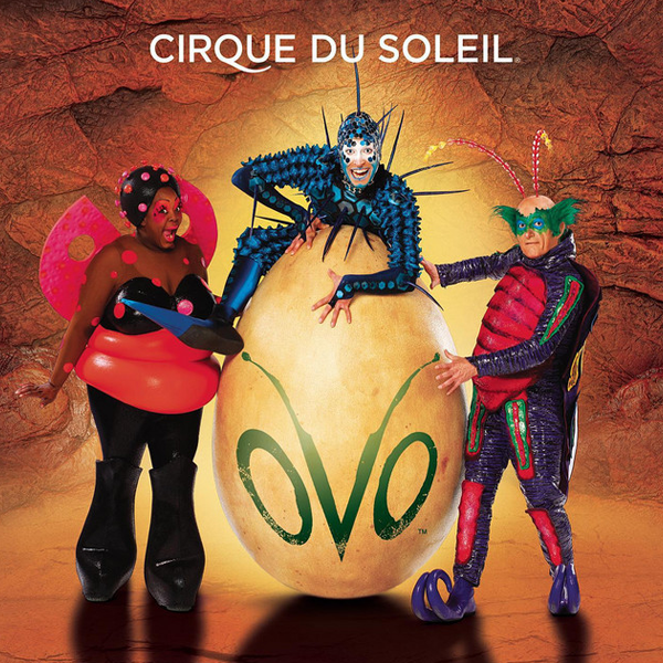 Ovo (Cirque du Soleil)