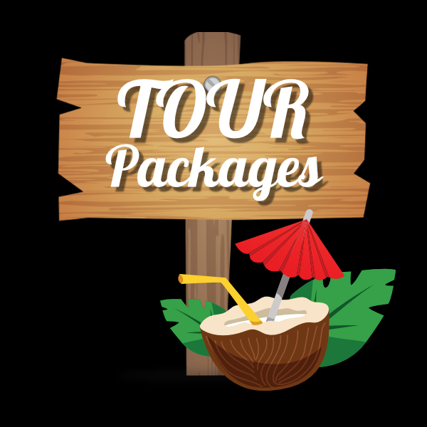 Package tour