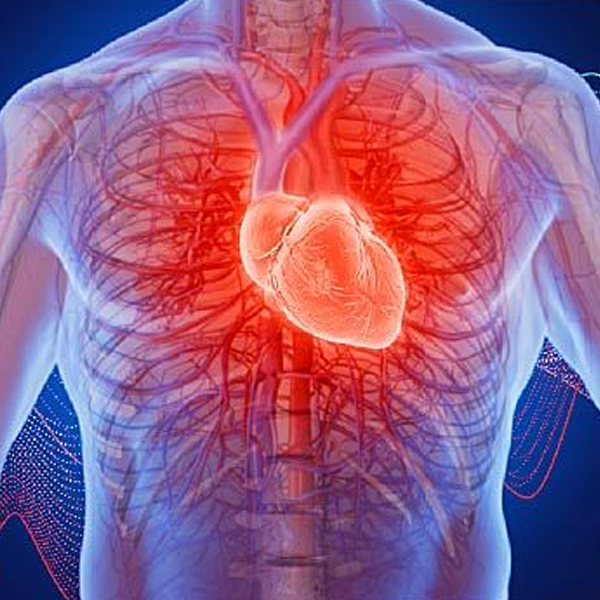 Palpitations logo