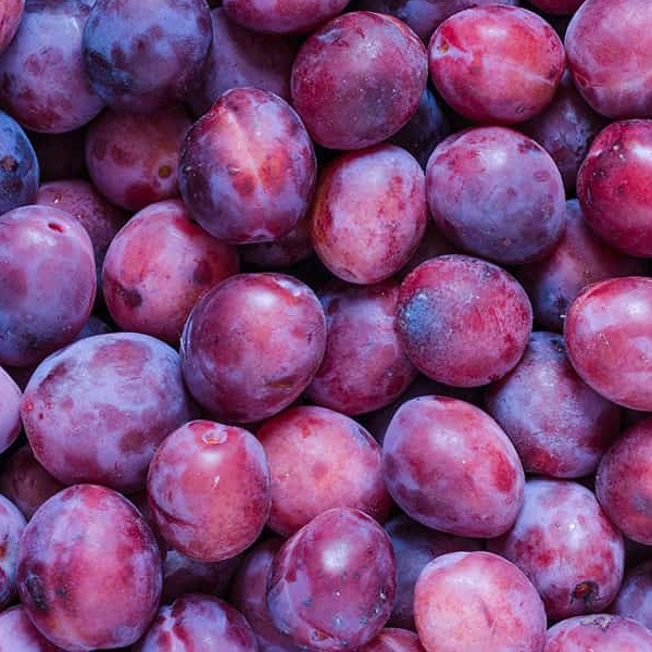 Plum