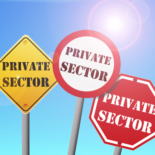Private sector logo