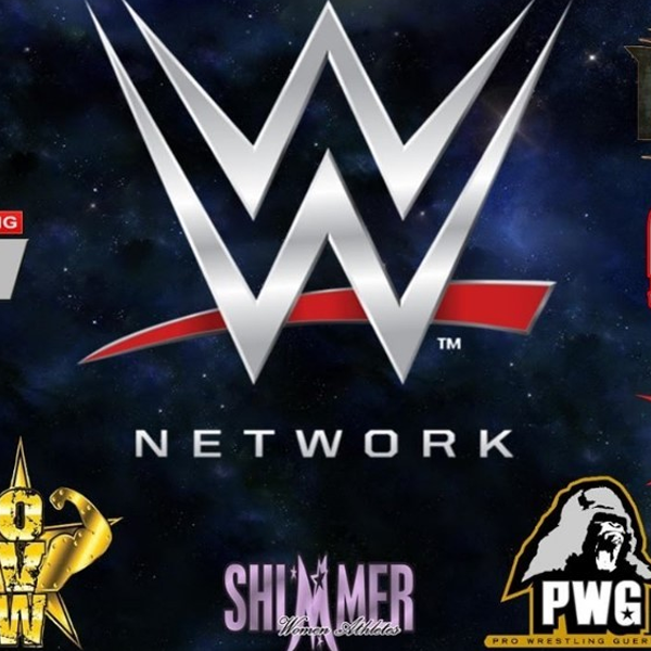 Professional wrestling promotion