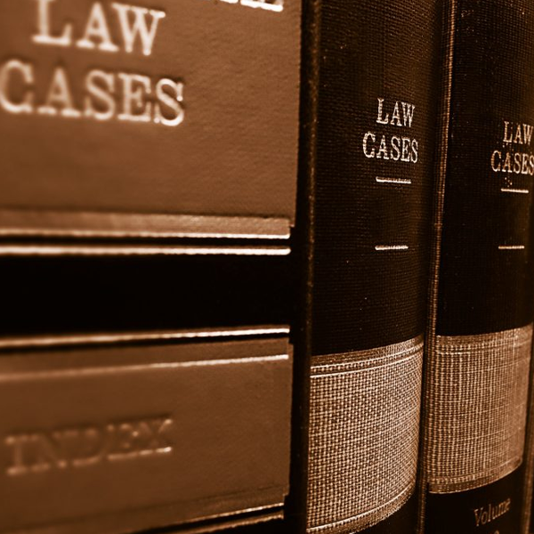 Public law logo