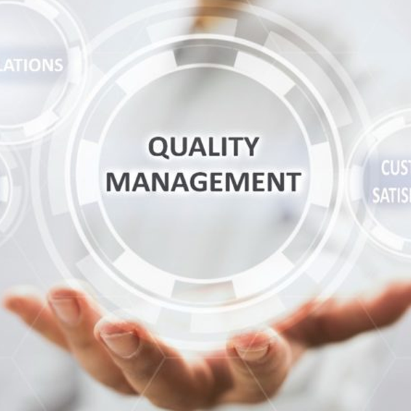 Quality management logo