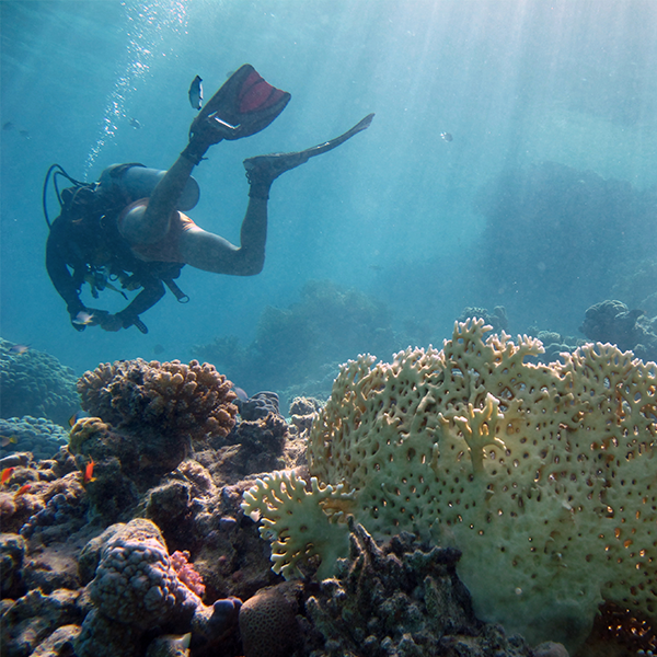 Recreational dive sites logo