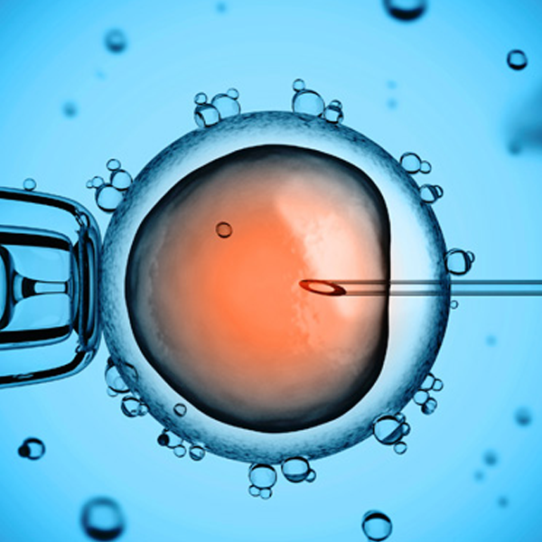 Reproductive technology logo