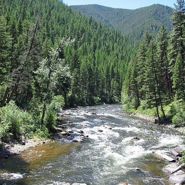 Rock Creek (Potomac River)