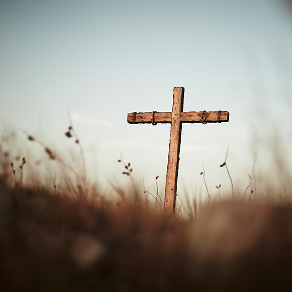 Salvation logo
