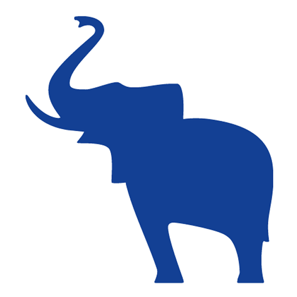 Schmitz Cargobull
