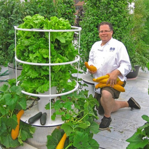 Self-sufficiency logo