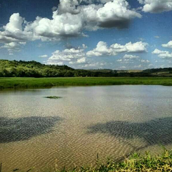 Sertaneja, Paraná